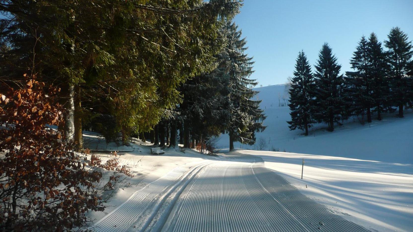 Familien-Hotel Am Traenkbachtal Frauenwald Esterno foto