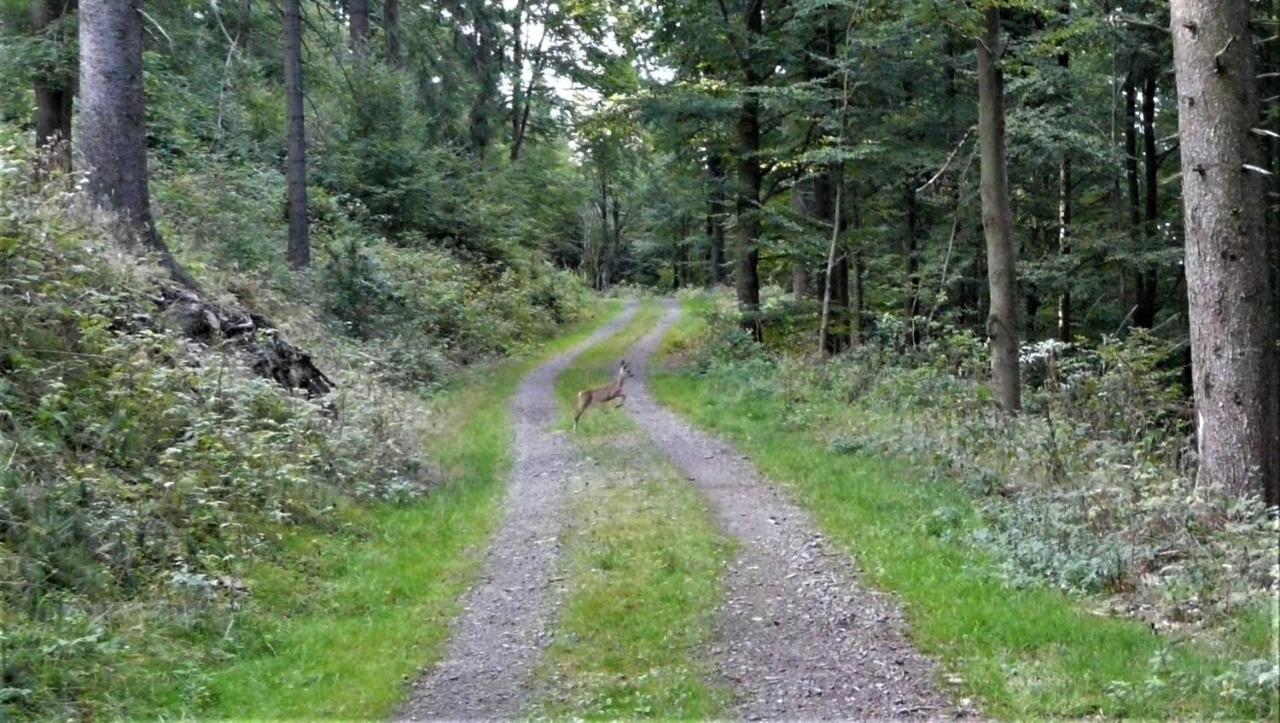 Familien-Hotel Am Traenkbachtal Frauenwald Esterno foto