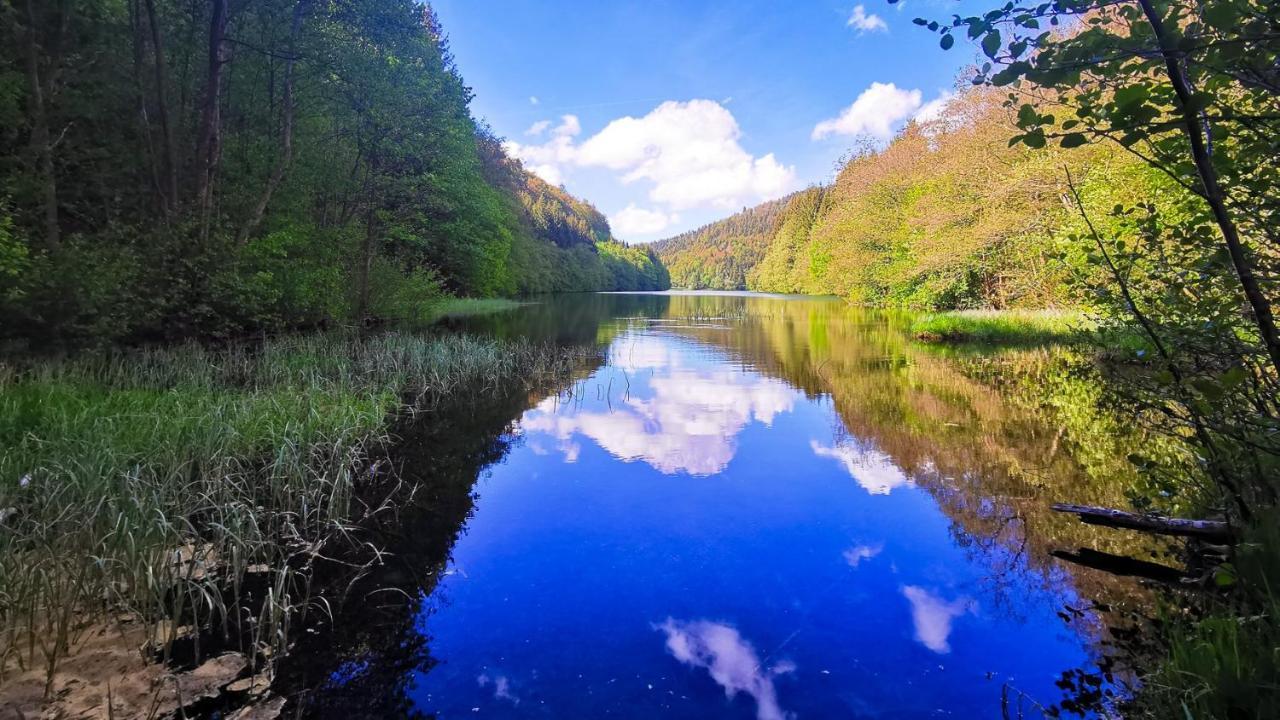 Familien-Hotel Am Traenkbachtal Frauenwald Esterno foto